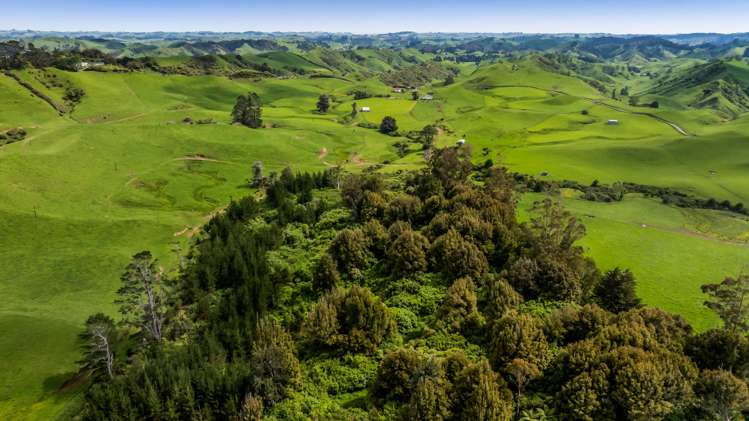 246 Kupara Road Inglewood_11