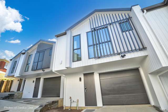 Lot 2/3 Catton Crescent Mount Roskill_4