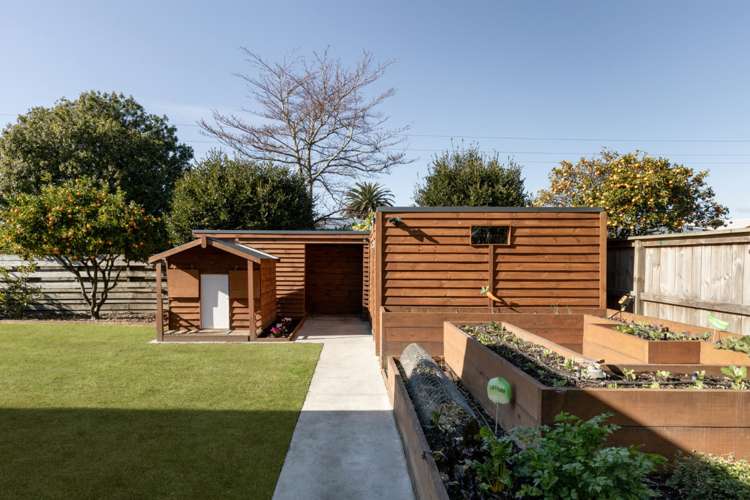 50 Taipari Street Maungatapu_22