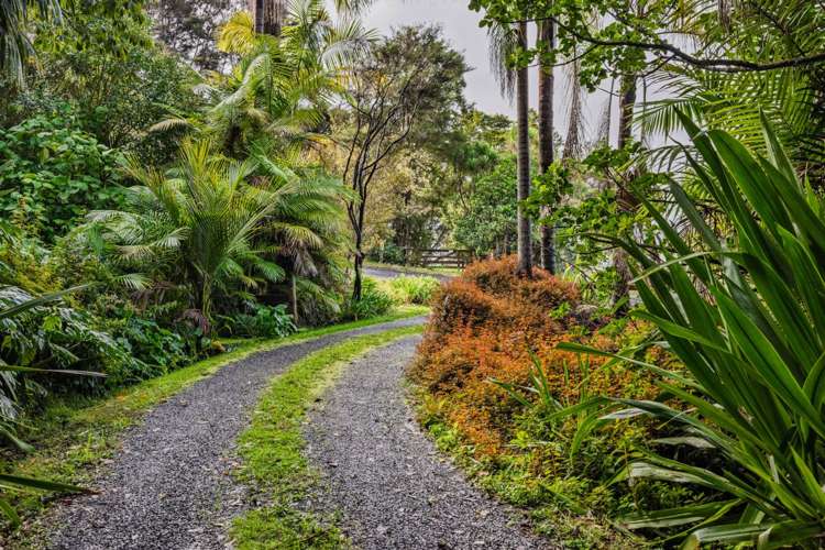 31 Rakautapu Road Kohukohu_47