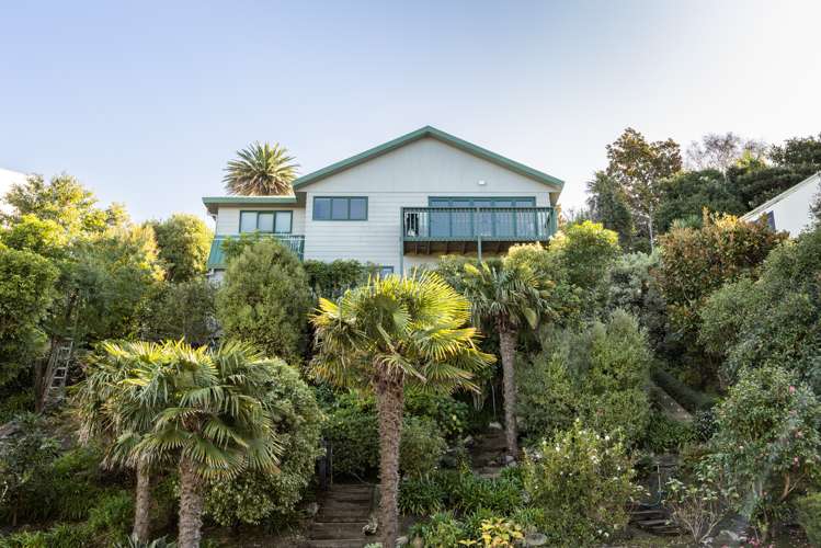 135 Priestley Terrace Bluff Hill_18