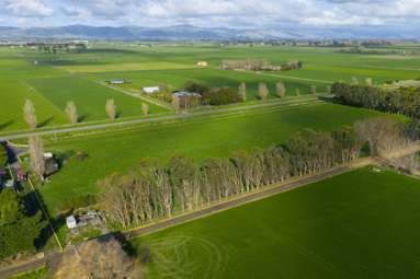 Lot 2 Kairanga Bunnythorpe Road_1