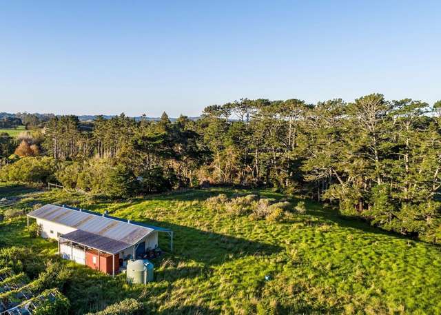 21 Brigham Creek Road Whenuapai_4