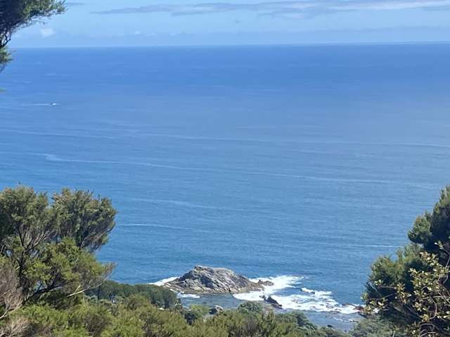 Lot 4/303 Waiaua Road Hihi_1