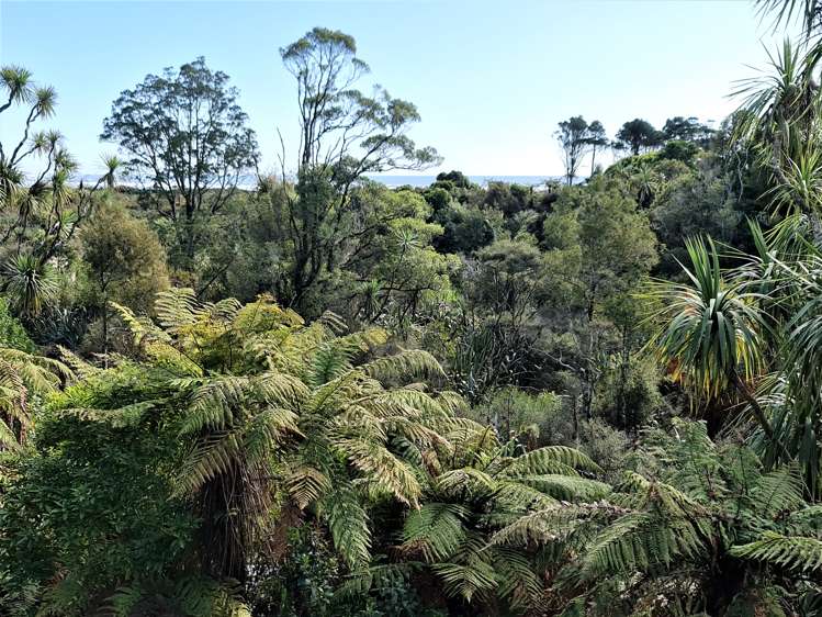 459 Utopia Road Westport_1