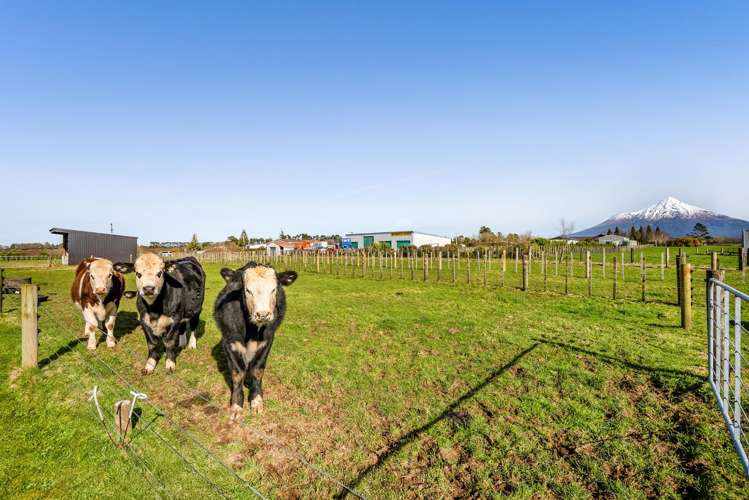 60 Monmouth Road Pembroke_42