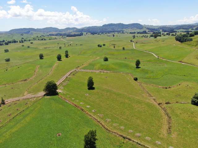 967 Ohura Road Aria_4