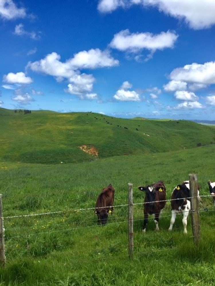 272 Broughton Road Ruawaro_30