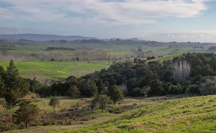 171 Te Arai Point Road Te Arai_9