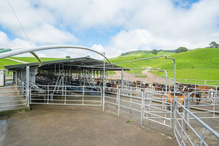 261 Pokuru Road Tirohanga_8