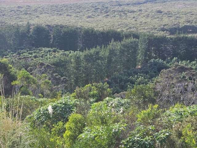 Heath Road Waiharara_1