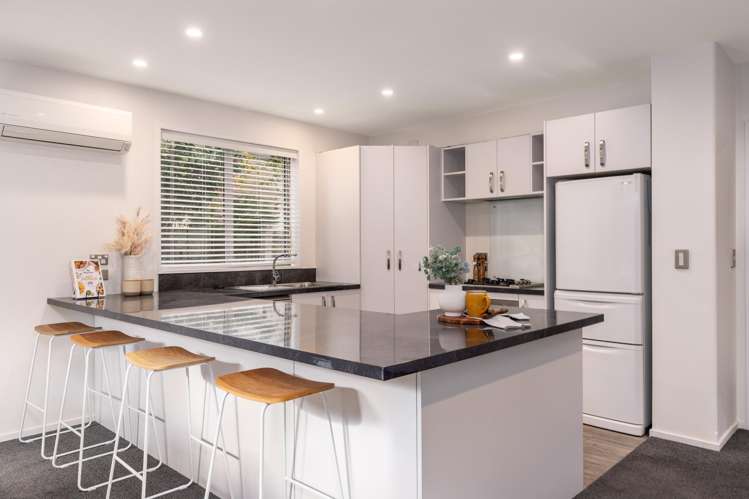 1b Amstel Lane Richmond_9