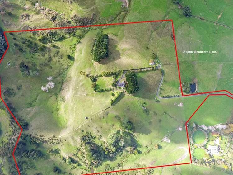 630 Kahikatea Flat Road Waitoki_13