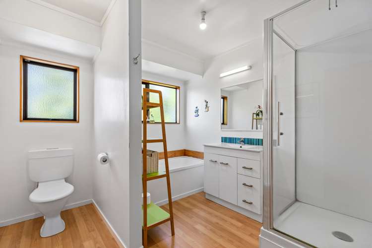 342 Youngson Road Whakamarama_15