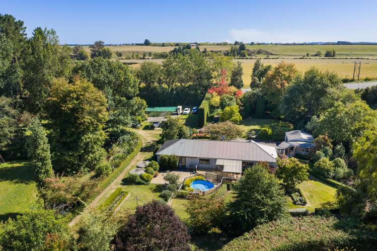 774 Taonui Road Colyton_2