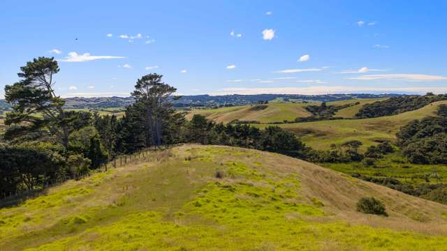 511 Fordyce Road Helensville_2