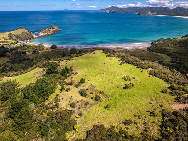 Lot 2, 346 Gray Road Great Barrier Island_4