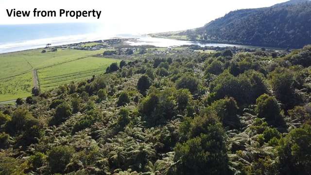 844 Nikau Road, State Highway 67 Mokihinui_3