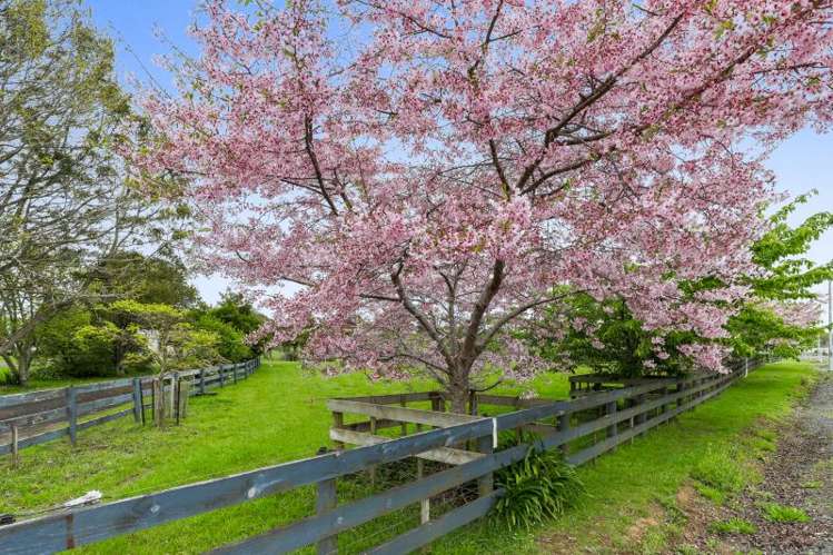 387 Buckland Road Buckland_7