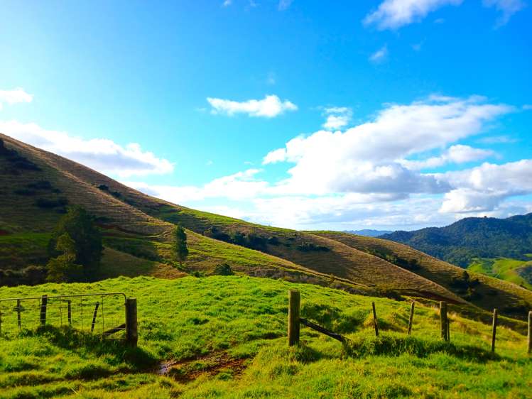 92 Takahue Saddle Road Takahue_32