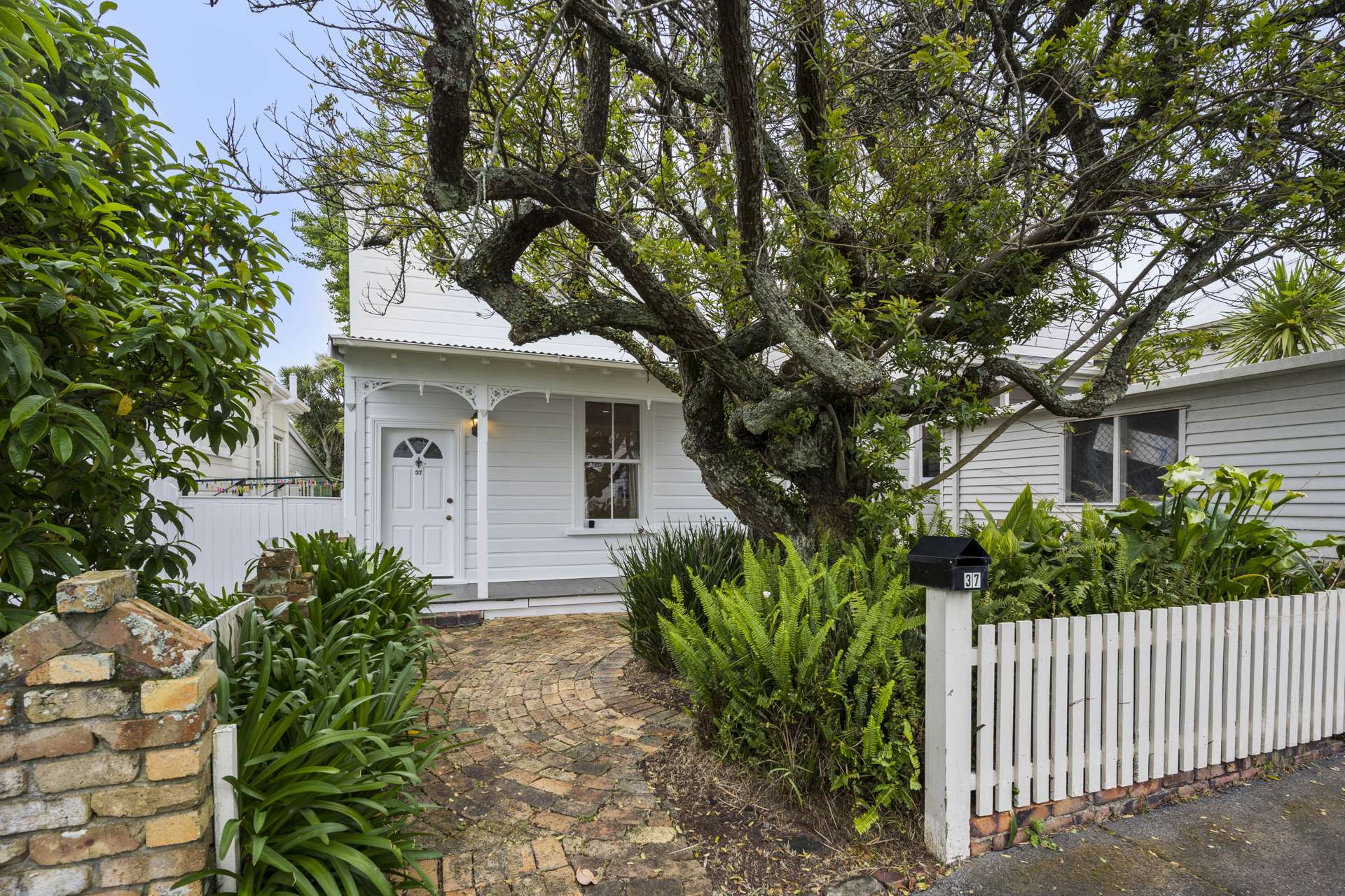 37 Rose Road Grey Lynn_0