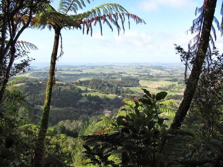 26 Dashper Drive Warkworth_28