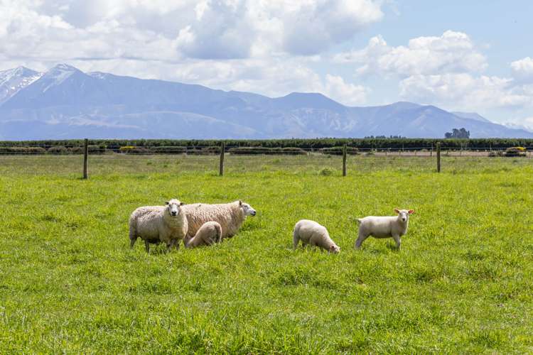 526 Auchenflower Road Darfield_23