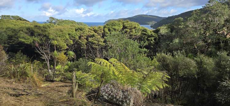 41a Blackwell Drive Great Barrier Island (Aotea Island)_7