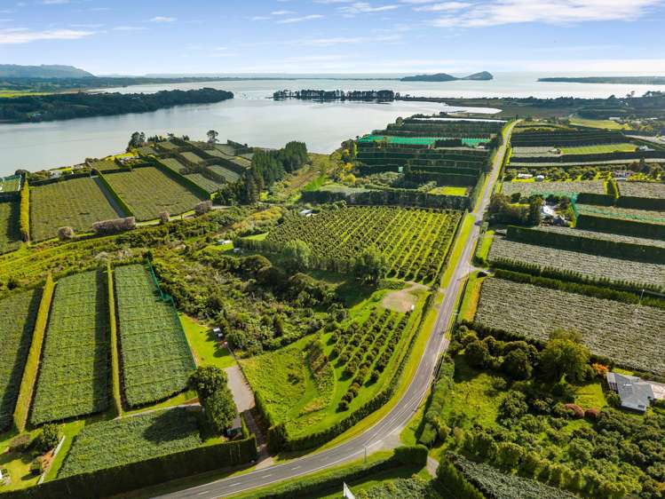 169 Tuapiro Road Katikati_5