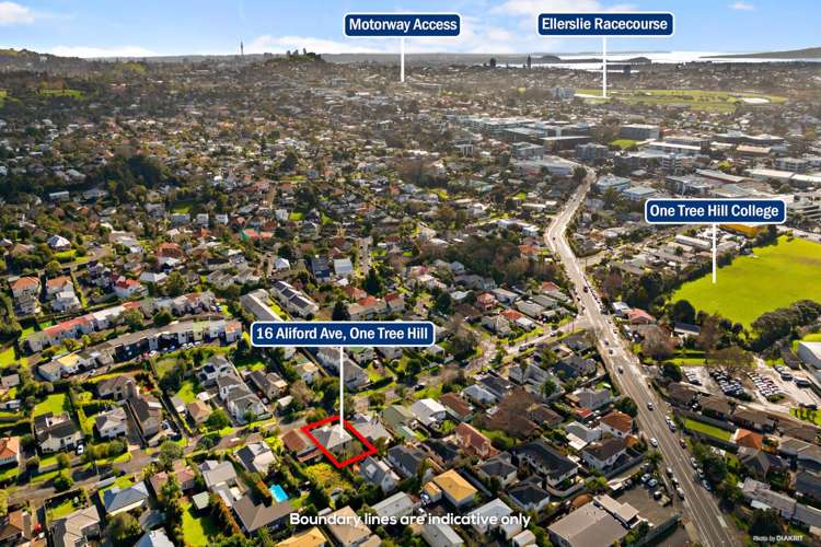16 Aliford Avenue One Tree Hill_20