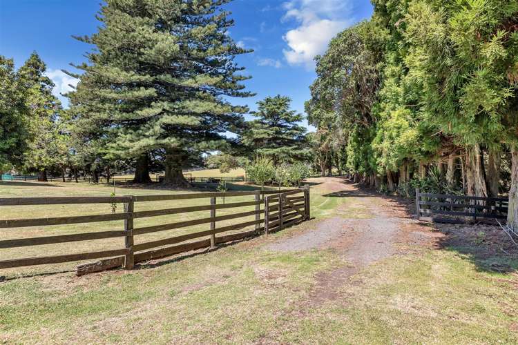 571 Ngunguru Road Glenbervie_21
