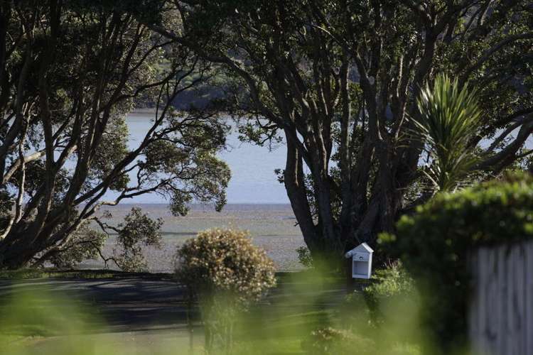 25a Cliff Street Raglan_18