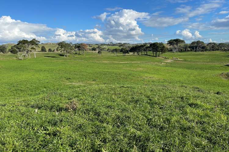 213 Black Swamp Road Mangawhai_9