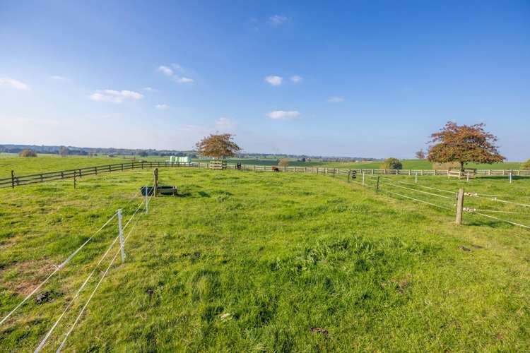 222 Meadway Road Ngahinapouri_31