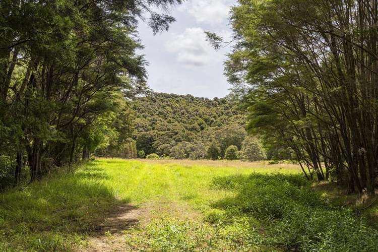 726d Ngunguru Ford Road Kiripaka_28