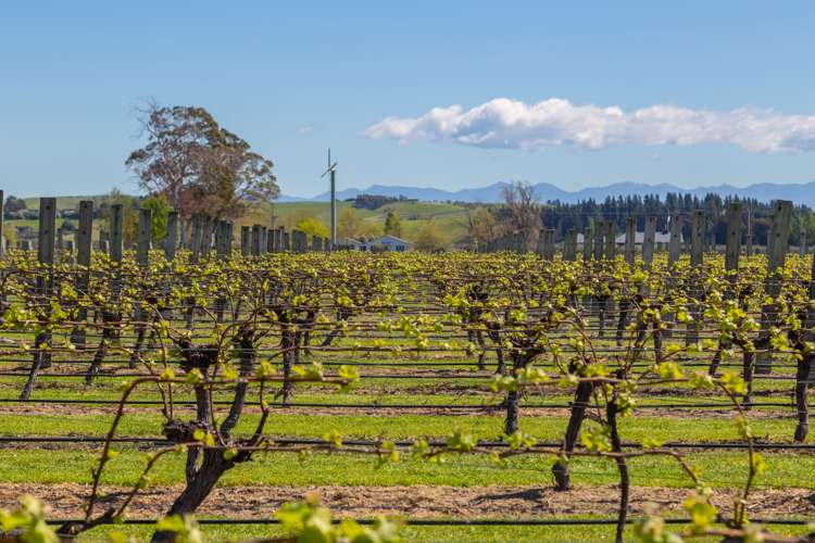 133 Ben Morven Road Fairhall_20