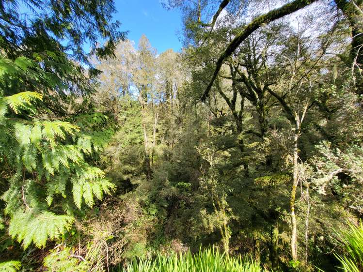 774 Atarau Road Atarau_11