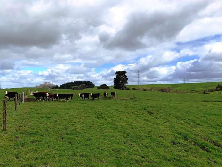 Maxwell Road Maramarua_10