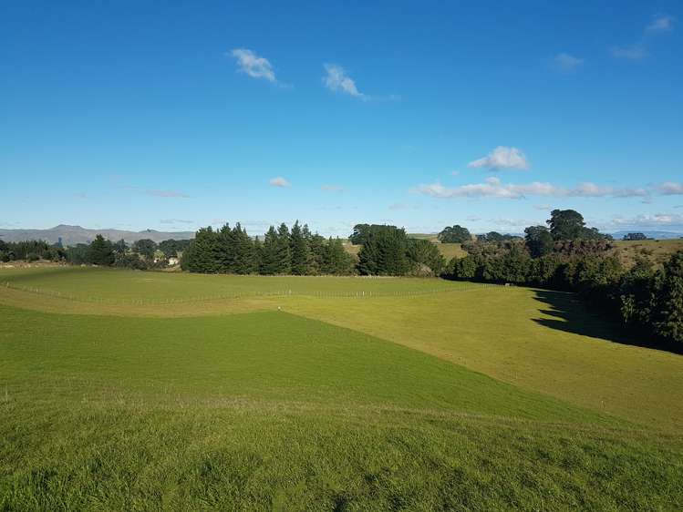 76064 State Highway 2 Rangitikei Surrounds_23