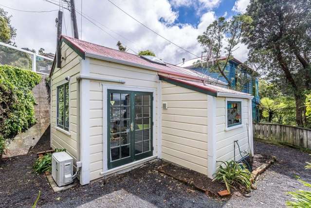 17 Irvine Street Aro Valley_1