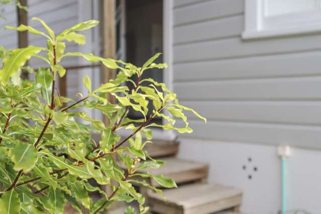 11a Keepa Street Levin_2