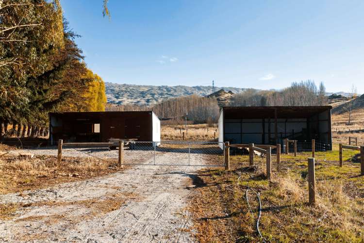 187 Blackman Road Alexandra_21