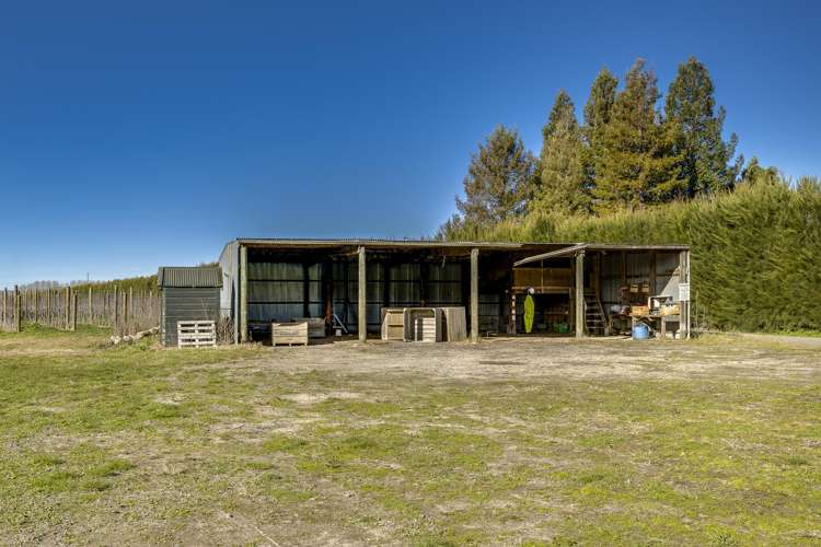Kiwi Crunch Orchard Portfolio Twyford_34