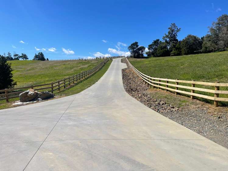 Mangawhai Bush Estate Mangawhai_7