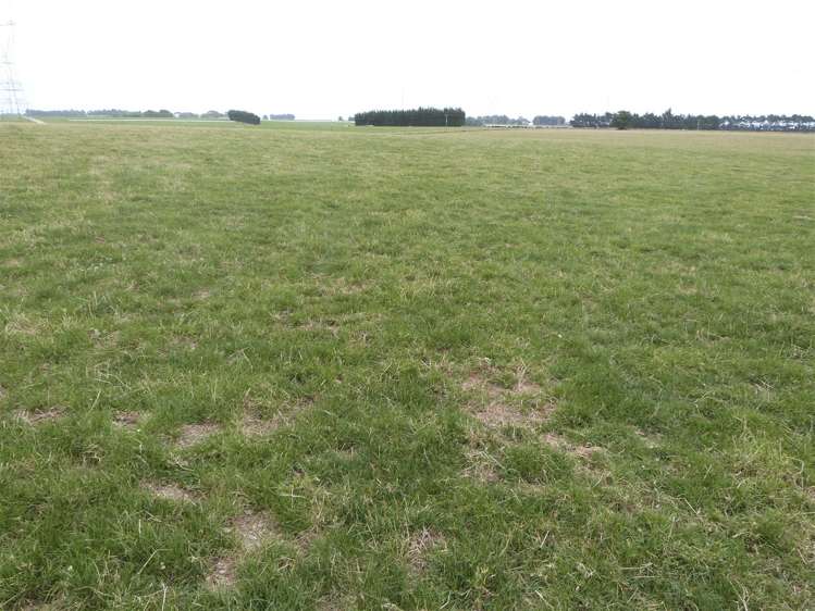 219 Robertson Road Winton Surrounds_25