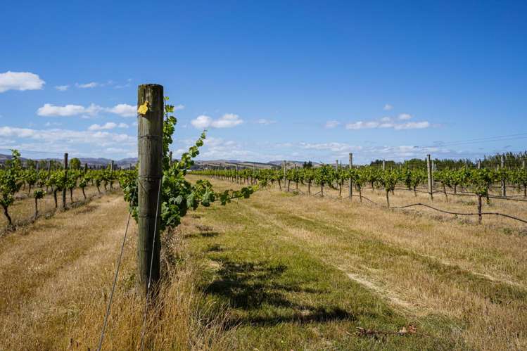 220 Omihi Road Waipara_5