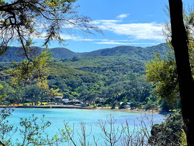 228 & 230 Shoal Bay Road Great Barrier Island_4