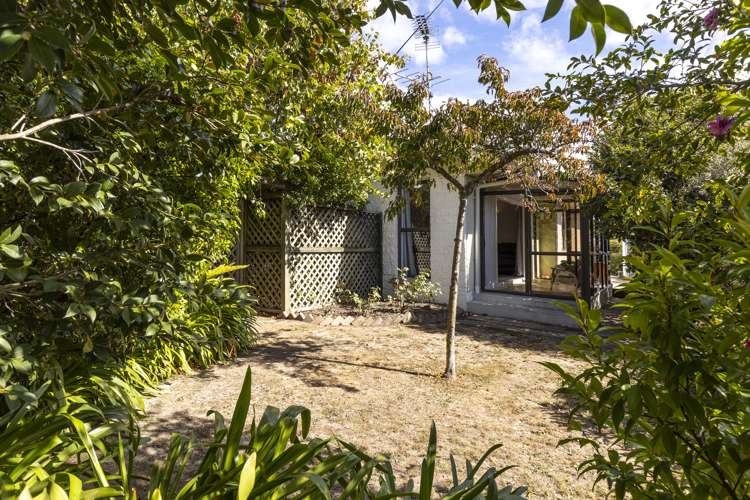 310a Scott Street Witherlea_18