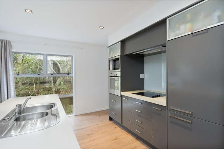 8 Roy Maloney Drive Henderson Heights_9