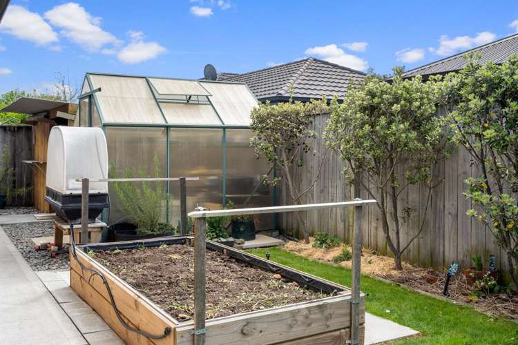 14 Wilson Street Renwick_30